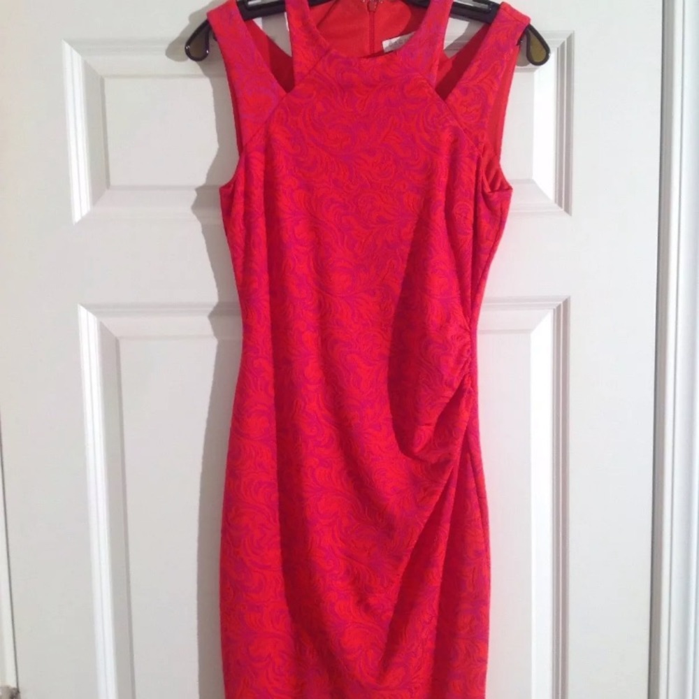 BEAUTIFUL Cache dress - NWT